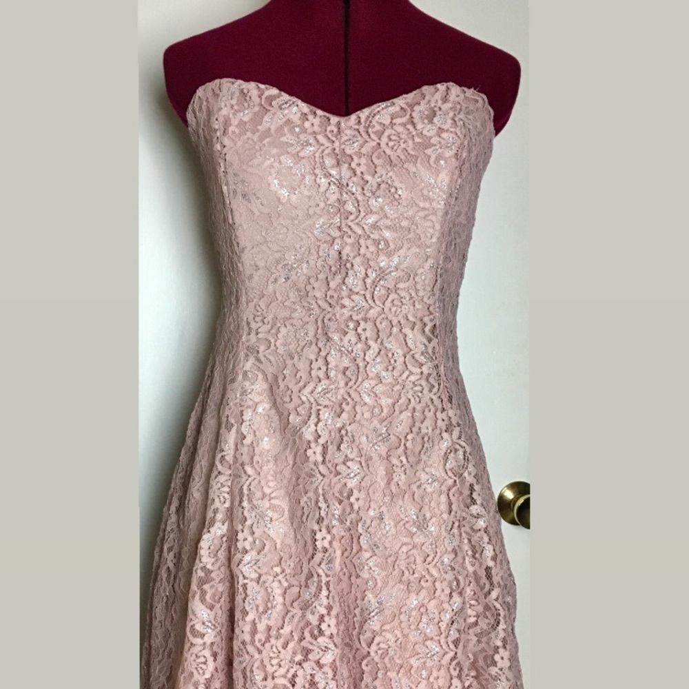Blush Lace Dress